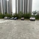 도그투케이크 이미지