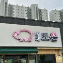 돼지도온 이미지