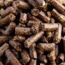 동천 동물병원 이미지