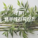 &#34;뱀부테라피&#34; 전문 에스테틱 서윤피부맑음 / 고객 후기
