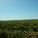 연수농장 이미지