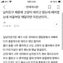 충동적으로 길냥이 입양한 두콩이 이미지