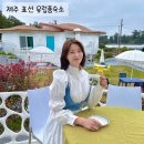 발트하우스 | 제주 표선 숙소 동화속 유럽 감성 발트하우스 후기 (feat.자쿠지)