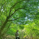 산천단 한국폴리텍대학 (사회복지법인 춘강방면) | [블랙야크 명산100챌린지 ] 한라산 백록담 관음사-성판악 코스
