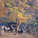 유별난 가위 이미지