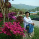 당포민박 이미지