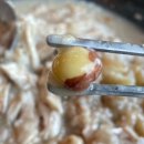 공주 정안 짜글이 누룽지백숙 맛집 들마루 식당 방문 후기