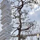 중앙공원 주차장정문 이미지