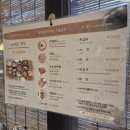 도솔마을 - 성남시 중원구 성남동 | 경주 가족 식사 도솔마을 방문기 솔직후기 : 예쁜 인테리어 뒤에 숨은 아쉬움