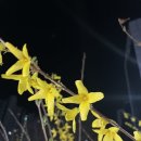 유독이쁨 이미지