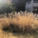 에덴파라다이스호텔 이미지