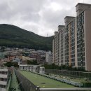 부산서중학교 이미지