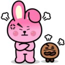 크린죤 이미지