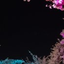 전농로한의원 이미지