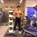 베스트짐 이미지