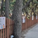 계절을 여는 시화전 이미지