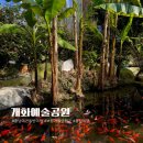 보령시모란공원 식당 | 충남 보령 여행 가볼만한곳 애견동반 가능한 개화예술공원