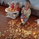 (주)유프리 | 유튜브 채널 추천 좀 할게요