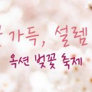 더9900샵 이미지