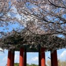 하당근린공원 이미지