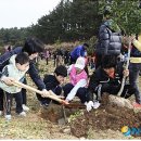 동부지방산림청 '탄생목 심기' 참여 가족 모집 이미지