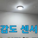 푸른전기;조명