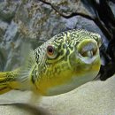 물속풍경 이미지