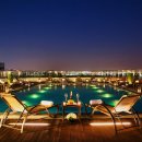 소노캄 고양 이미지