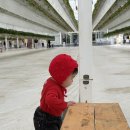 평촌길 | 아산 딸기체험 농장🍓 아이와 함께 다녀온 ‘내 생애 첫 딸기’ 후기