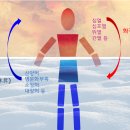 이레한의원