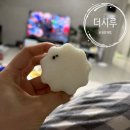 (집)더드림 | [광명 맛집] 답례떡 주문은 “더시루”, 광명백일떡 소하동떡집 :: 오색경단/흑임자인절미 추천 솔직후기