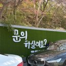 부부농장 | 벚꽃 목련 맛집찾아 청주 나들이-3 / 청남대 한식 맛집, 부부농장 '고추장 삼겹살' 후기