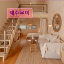 수산리-18 | 제주도 애월 펜션 숙소 게하 제주무이 조용한 제주도 감성 숙소