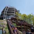 단양군시티투어 이미지