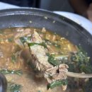 서서갈비&남원흑염소 | 강릉 현지인 몸보신 맛집 [학마을 흑염소] 내돈내산 농장 직영 국내산