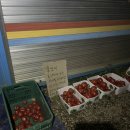 쉼터 | 민둥산 일출 등산코스 후기 | 출발 시간, 준비물, 꿀팁 | 거북이약수터쉼터 후기