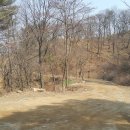 아세안자연휴양림 이미지