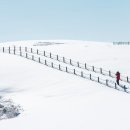 낙하목장 이미지