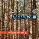 까치아파트삼거리 | [걸어서 부산속으로]부산 황령산(양정-남천 코스)+광안리편