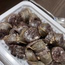 신바람떡볶이