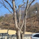 수진사 | 25년 3월 나혼자 남양주 수진사 템플스테이 후기