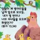 2024-10-31연중 제30주간 목요일＜예언자는 예루살렘이 아닌 다른 곳에서 죽을 수 없다.＞ 이미지