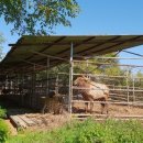 문곡보건진료소 이미지