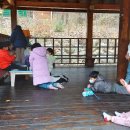 리라숲어린이집 이미지