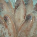 군산 참박대 수산 이미지