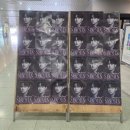 콘서트 | 2025-26 박서진 전국 콘서트 일산 + 킨텍스 후기요~