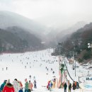 설천이용원
