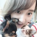 까망이 이미지