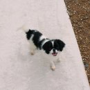 벤지 펜션 이미지