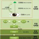 영성농장 이미지